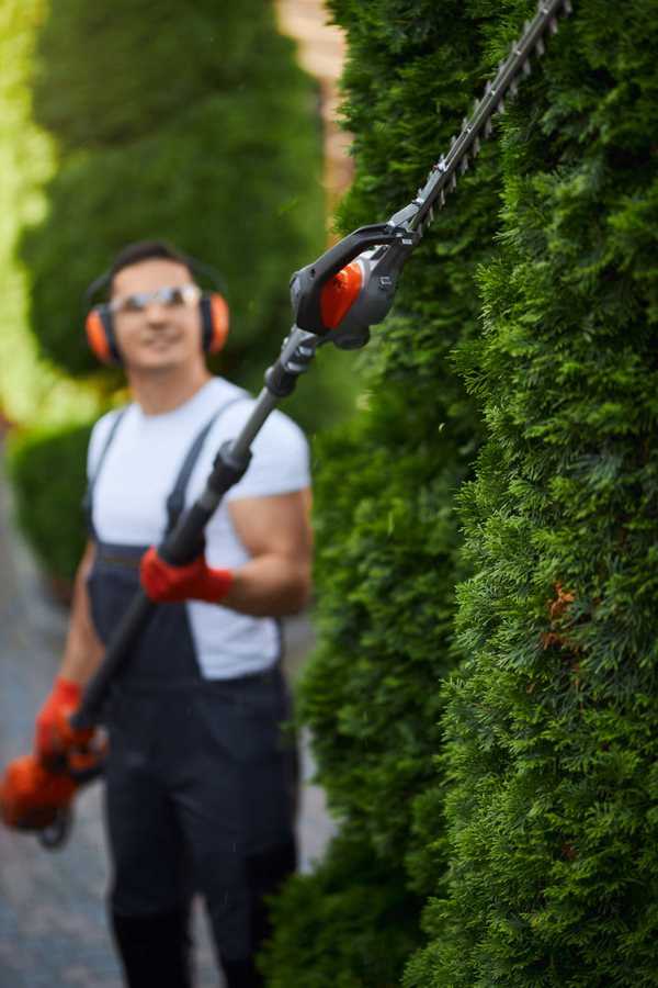Landscaping